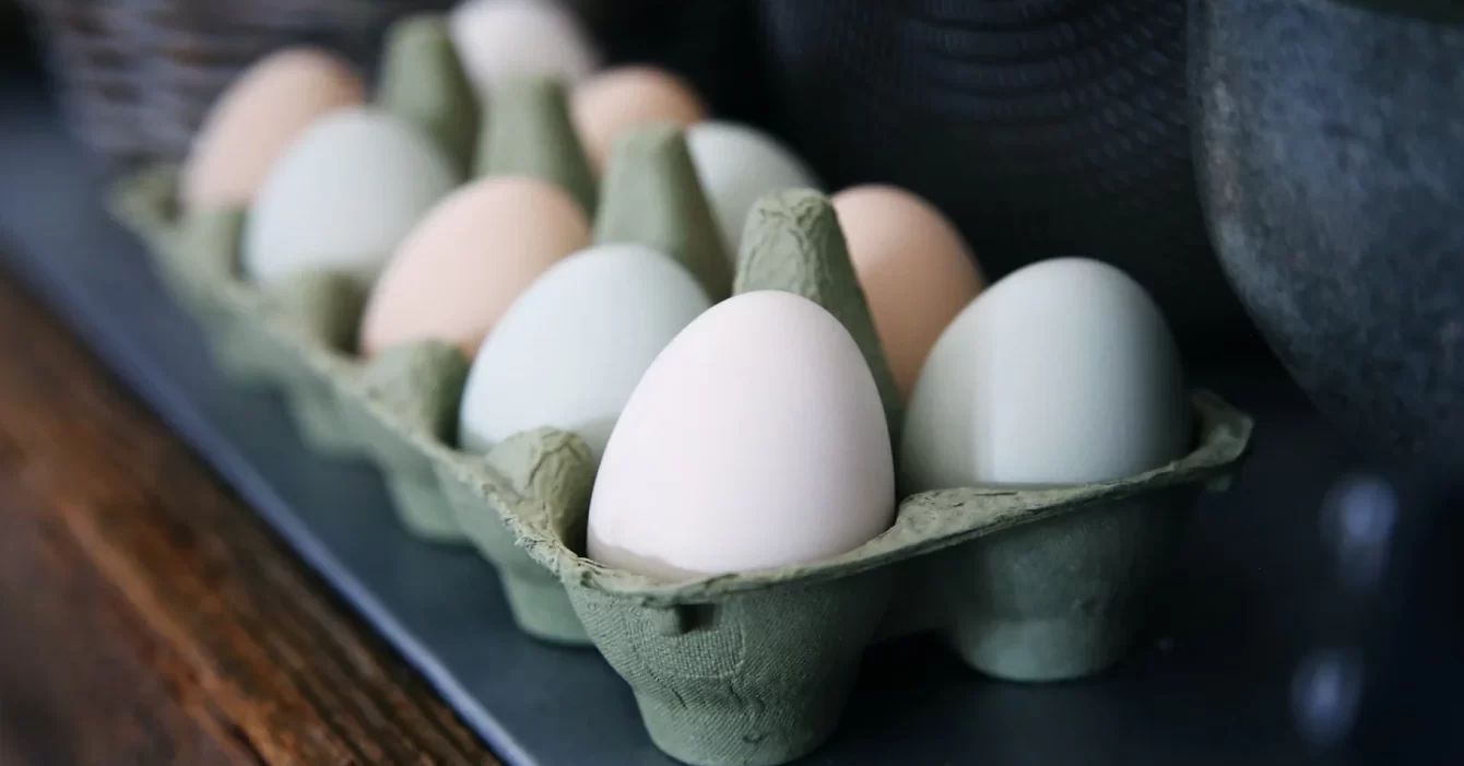 Egg Supplier in Dubai, UAE